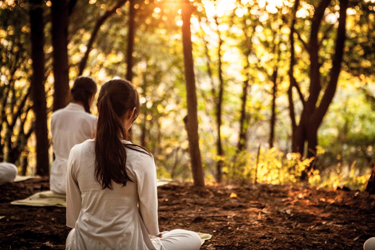 about-bg Women sitting in a forest during sunset, practicing meditation and relaxation.